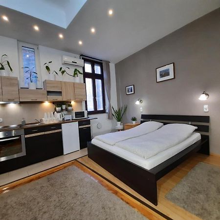Central Gold Apartment Budapeşte Dış mekan fotoğraf